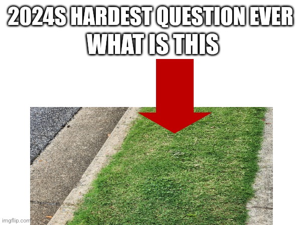 WORLS HARDEST QUESTION | WHAT IS THIS; 2024S HARDEST QUESTION EVER | image tagged in hard choice to make | made w/ Imgflip meme maker