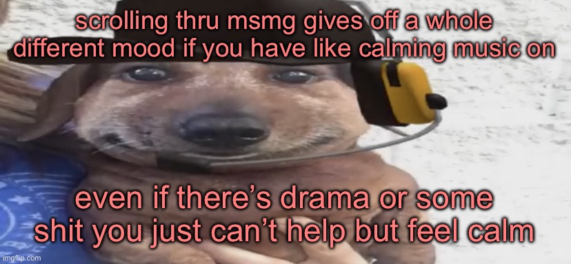 chucklenuts | scrolling thru msmg gives off a whole different mood if you have like calming music on; even if there’s drama or some shit you just can’t help but feel calm | image tagged in chucklenuts | made w/ Imgflip meme maker