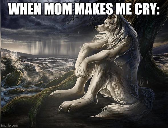 melancholic werewolf | WHEN MOM MAKES ME CRY: | image tagged in melancholic werewolf | made w/ Imgflip meme maker