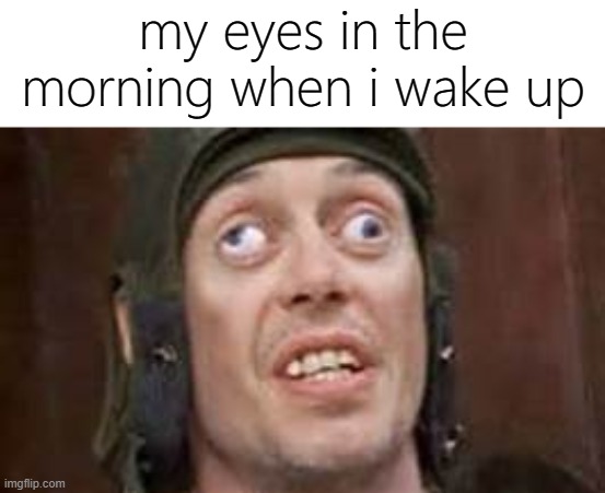 theyre dying help meeeeeeeeeeeeeeeeeeeeeee | my eyes in the morning when i wake up | image tagged in crazy eyes,memes,funny,wake up,morning | made w/ Imgflip meme maker