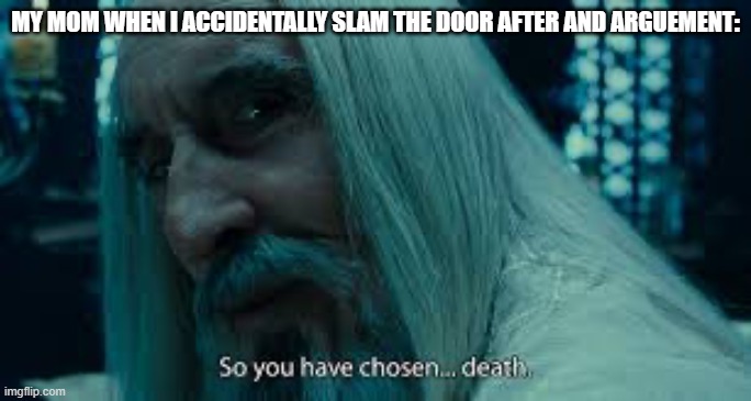 So you have chosen death | MY MOM WHEN I ACCIDENTALLY SLAM THE DOOR AFTER AND ARGUEMENT: | image tagged in so you have chosen death | made w/ Imgflip meme maker