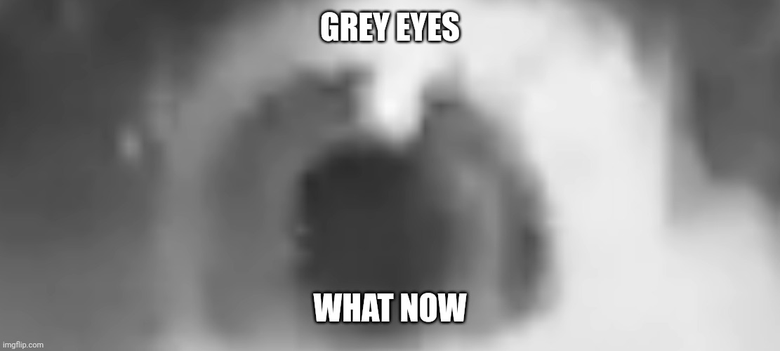 ??? | GREY EYES; WHAT NOW | image tagged in grey eye | made w/ Imgflip meme maker
