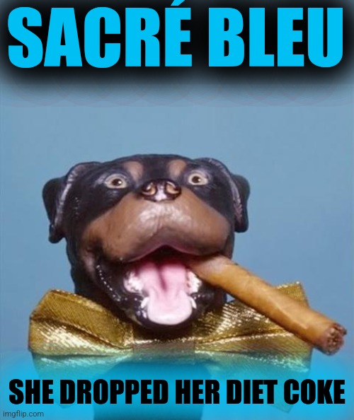 Triumph the Insult Comic Dog | SACRÉ BLEU SHE DROPPED HER DIET COKE | image tagged in triumph the insult comic dog | made w/ Imgflip meme maker