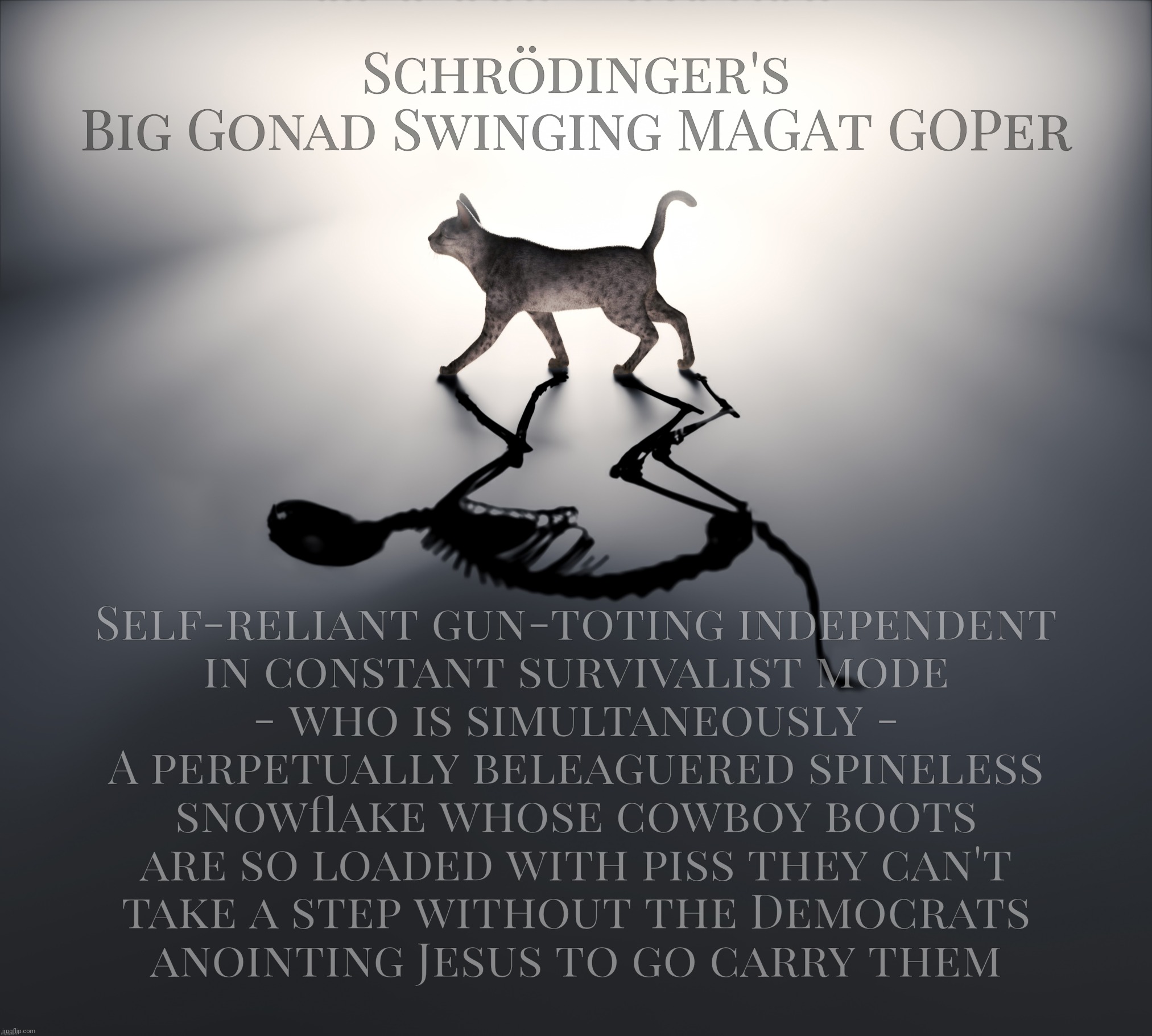 Schrödinger's Big Gonad Swinging MAGAt GOPer | Schrödinger's
Big Gonad Swinging MAGAt GOPer; Self-reliant gun-toting independent
in constant survivalist mode
- who is simultaneously -
A perpetually beleaguered spineless
snowflake whose cowboy boots
are so loaded with piss they can't
take a step without the Democrats
anointing Jesus to go carry them | image tagged in schrodinger's cat,schrodinger's goper,schrodinger's magat,gop,maga,gun toting snowflakes | made w/ Imgflip meme maker