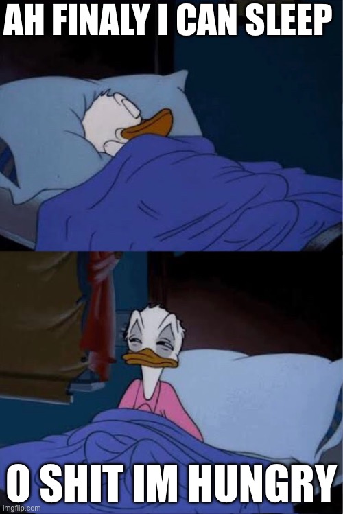 donald duck waking up | AH FINALY I CAN SLEEP; O SHIT IM HUNGRY | image tagged in donald duck waking up | made w/ Imgflip meme maker
