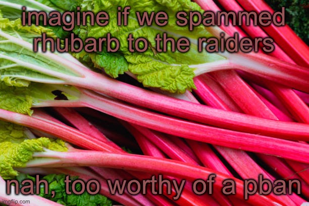 rhubarb | imagine if we spammed rhubarb to the raiders; nah, too worthy of a pban | image tagged in rhubarb | made w/ Imgflip meme maker