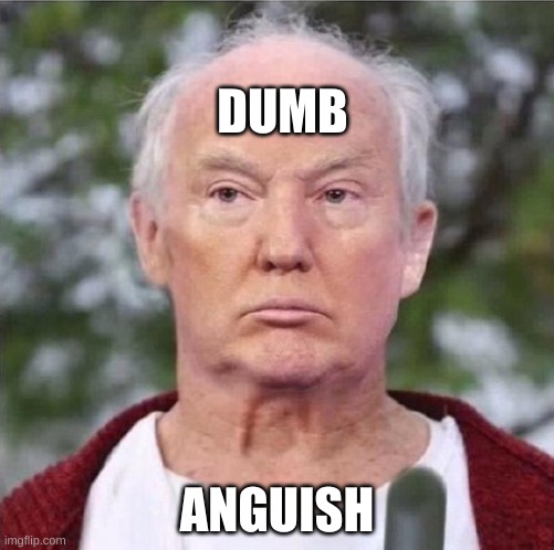 dumb anguish | DUMB; ANGUISH | image tagged in dumb,anguish,evil,trump is a traitor,don the con | made w/ Imgflip meme maker