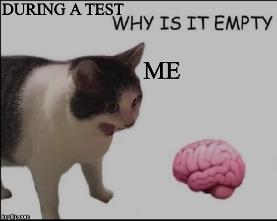 why is it empty? | DURING A TEST; ME | image tagged in why is it empty | made w/ Imgflip meme maker