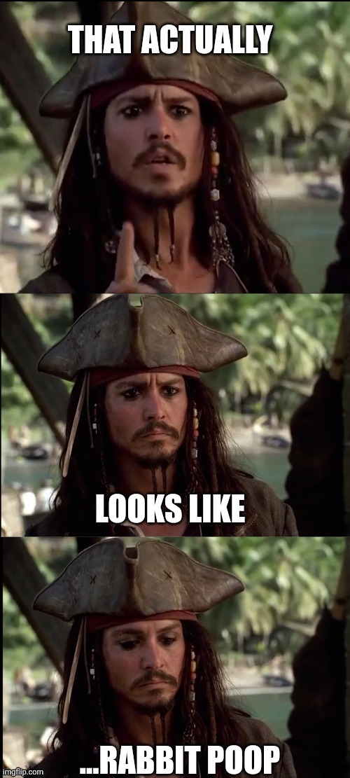 JACK SPARROW HOLDING UP FINGER | THAT ACTUALLY ...RABBIT POOP LOOKS LIKE | image tagged in jack sparrow holding up finger | made w/ Imgflip meme maker