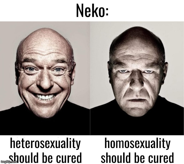 Hypocrisy fr | Neko:; heterosexuality should be cured; homosexuality should be cured | image tagged in breaking bad smile frown | made w/ Imgflip meme maker