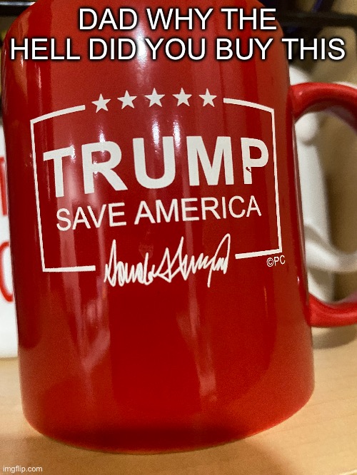 DAD WHY THE HELL DID YOU BUY THIS | made w/ Imgflip meme maker