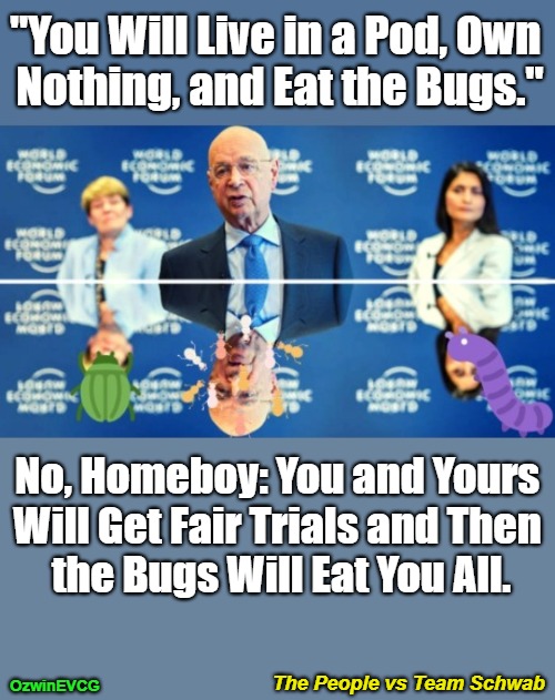 The People vs Team Schwab [NV] | "You Will Live in a Pod, Own 

Nothing, and Eat the Bugs."; No, Homeboy: You and Yours 

Will Get Fair Trials and Then 

the Bugs Will Eat You All. The People vs Team Schwab; OzwinEVCG | image tagged in elitists,klaus schwab,pods,bugs,own nothing,globalism | made w/ Imgflip meme maker