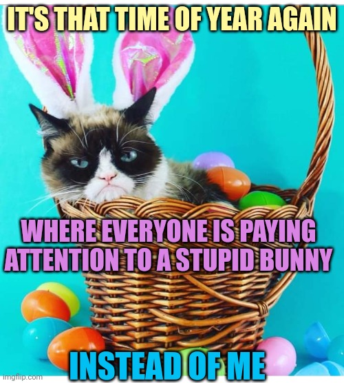 SO NOW WE HAVE GRUMPY BUNNY | IT'S THAT TIME OF YEAR AGAIN; WHERE EVERYONE IS PAYING ATTENTION TO A STUPID BUNNY; INSTEAD OF ME | image tagged in cats,grumpy cat,happy easter,bunny | made w/ Imgflip meme maker
