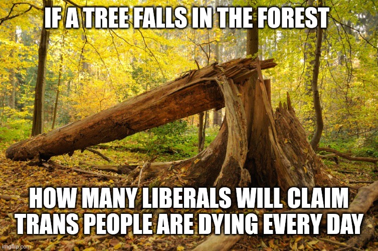 If a tree falls on Bobby & he hears it ?  Will Bobby go inside? | IF A TREE FALLS IN THE FOREST; HOW MANY LIBERALS WILL CLAIM TRANS PEOPLE ARE DYING EVERY DAY | image tagged in if a tree falls on bobby he hears it will bobby go inside | made w/ Imgflip meme maker