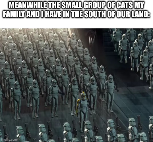 Clone trooper army | MEANWHILE THE SMALL GROUP OF CATS MY FAMILY AND I HAVE IN THE SOUTH OF OUR LAND: | image tagged in clone trooper army | made w/ Imgflip meme maker
