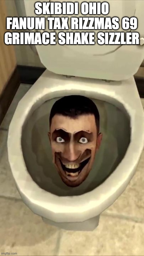 Skibidi toilet | SKIBIDI OHIO FANUM TAX RIZZMAS 69 GRIMACE SHAKE SIZZLER | image tagged in skibidi toilet | made w/ Imgflip meme maker