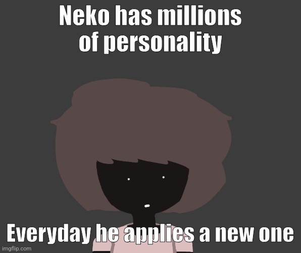 But that's just a theory, A STYLE THEORY | Neko has millions of personality; Everyday he applies a new one | image tagged in qhar ben | made w/ Imgflip meme maker