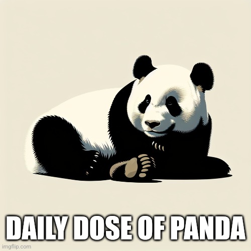 Daily dose of panda | DAILY DOSE OF PANDA | image tagged in cool,panda | made w/ Imgflip meme maker