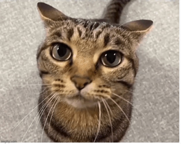 wait im goated | image tagged in wait im goated | made w/ Imgflip meme maker