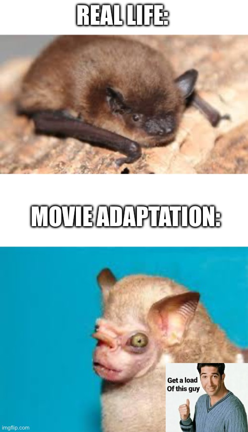 REAL LIFE: MOVIE ADAPTATION: | image tagged in blank white template | made w/ Imgflip meme maker