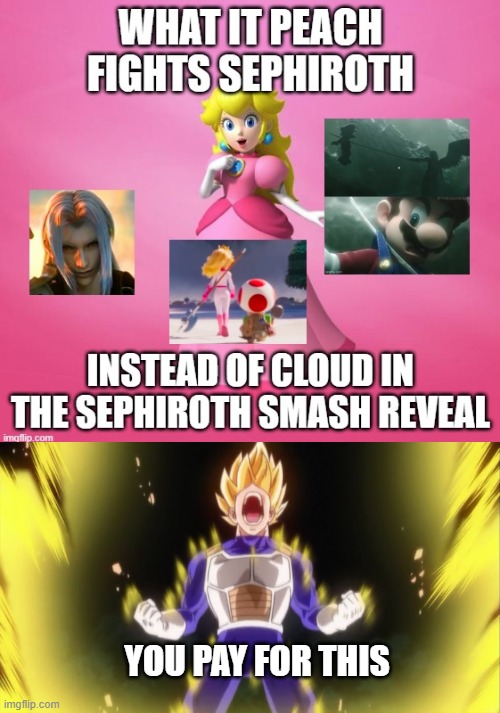 vegeta hates sephiroth | YOU PAY FOR THIS | image tagged in what if peach fights sephiroth,final fantasy 7,vegeta,princess peach,anime meme,avengers | made w/ Imgflip meme maker