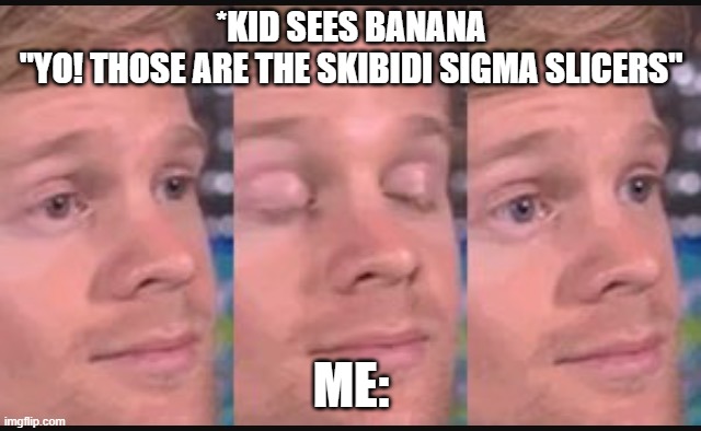 Bro What??? | *KID SEES BANANA
"YO! THOSE ARE THE SKIBIDI SIGMA SLICERS"; ME: | image tagged in blinking guy,funny,gen alpha | made w/ Imgflip meme maker
