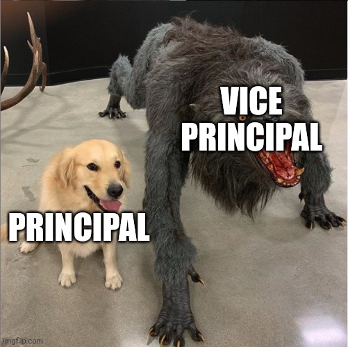 true facts | VICE PRINCIPAL; PRINCIPAL | image tagged in dog vs werewolf | made w/ Imgflip meme maker