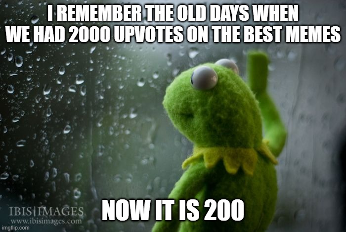 It was so fun back then | I REMEMBER THE OLD DAYS WHEN WE HAD 2000 UPVOTES ON THE BEST MEMES; NOW IT IS 200 | image tagged in kermit window | made w/ Imgflip meme maker