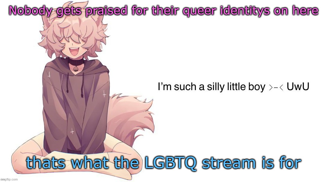 @Glaceon, they gonna make fun of you as well | Nobody gets praised for their queer identitys on here; thats what the LGBTQ stream is for | image tagged in silly_neko announcement template | made w/ Imgflip meme maker