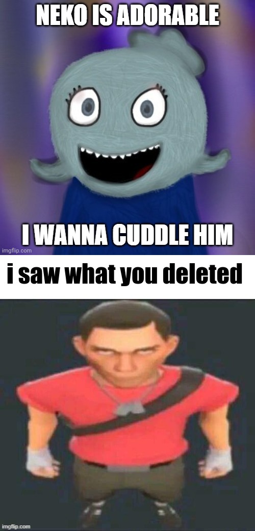 NEKO IS ADORABLE; I WANNA CUDDLE HIM | image tagged in therealblue2007,i saw what you deleted scout | made w/ Imgflip meme maker