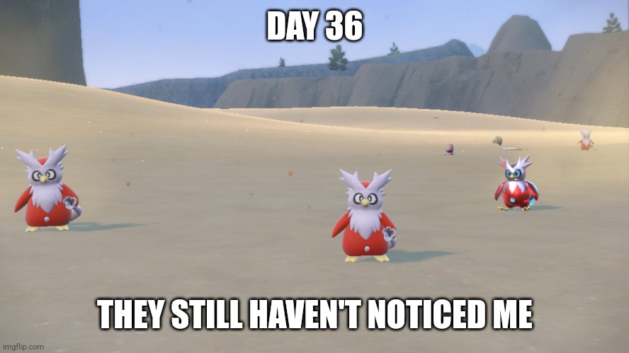 DAY 36; THEY STILL HAVEN'T NOTICED ME | image tagged in pokemon | made w/ Imgflip meme maker