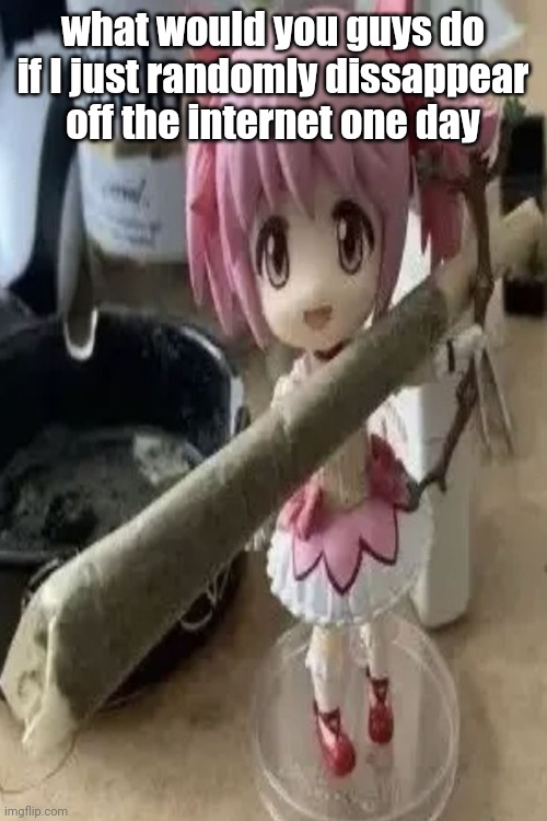 madoka with a fat blunt | what would you guys do if I just randomly dissappear off the internet one day | image tagged in madoka with a fat blunt | made w/ Imgflip meme maker