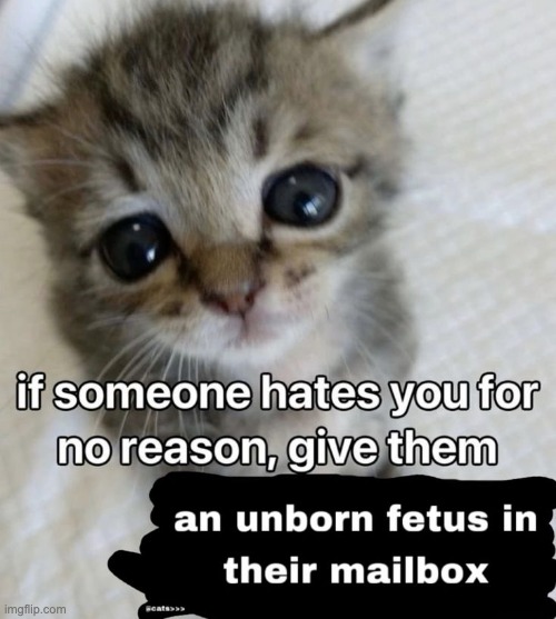 hehe yayy agitated for no reason rn | made w/ Imgflip meme maker