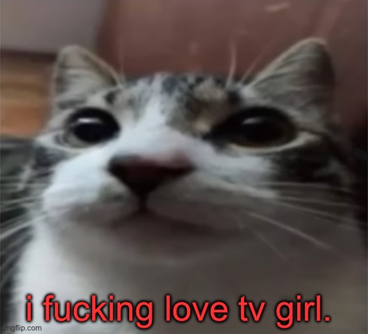 especially who really cares album | i fucking love tv girl. | made w/ Imgflip meme maker