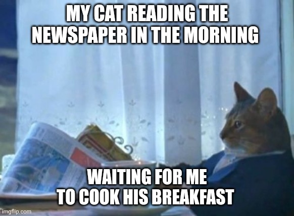 Cat waiting | MY CAT READING THE NEWSPAPER IN THE MORNING; WAITING FOR ME TO COOK HIS BREAKFAST | image tagged in memes,i should buy a boat cat,funny memes | made w/ Imgflip meme maker