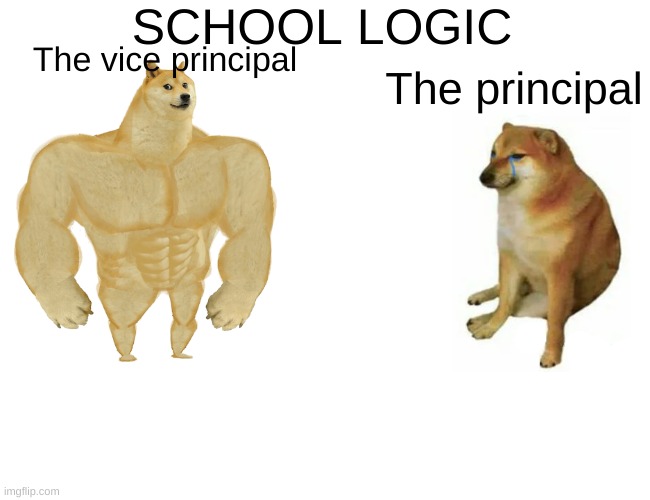 Buff Doge vs. Cheems | SCHOOL LOGIC; The vice principal; The principal | image tagged in memes,buff doge vs cheems | made w/ Imgflip meme maker
