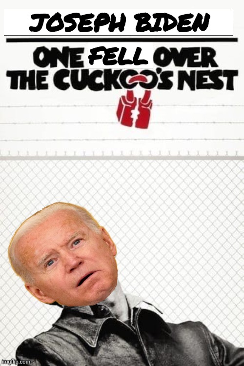 One who flew over the coo coo’s nest | JOSEPH BIDEN FELL | image tagged in one who flew over the coo coo s nest | made w/ Imgflip meme maker