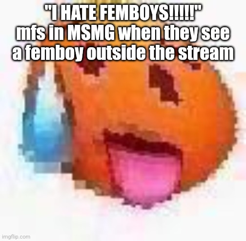 Damn. | "I HATE FEMBOYS!!!!!" mfs in MSMG when they see a femboy outside the stream | image tagged in cursed hotface | made w/ Imgflip meme maker
