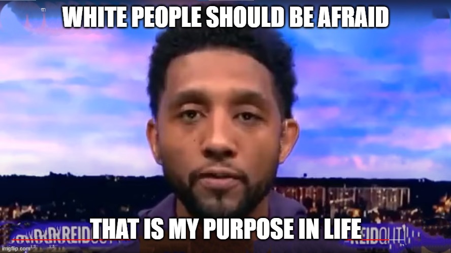 Removed from poilitics stream because the Baltimore Mayors quote was racist! | WHITE PEOPLE SHOULD BE AFRAID; THAT IS MY PURPOSE IN LIFE | image tagged in baltimore,mayor,quote,quotes,racist,racism | made w/ Imgflip meme maker