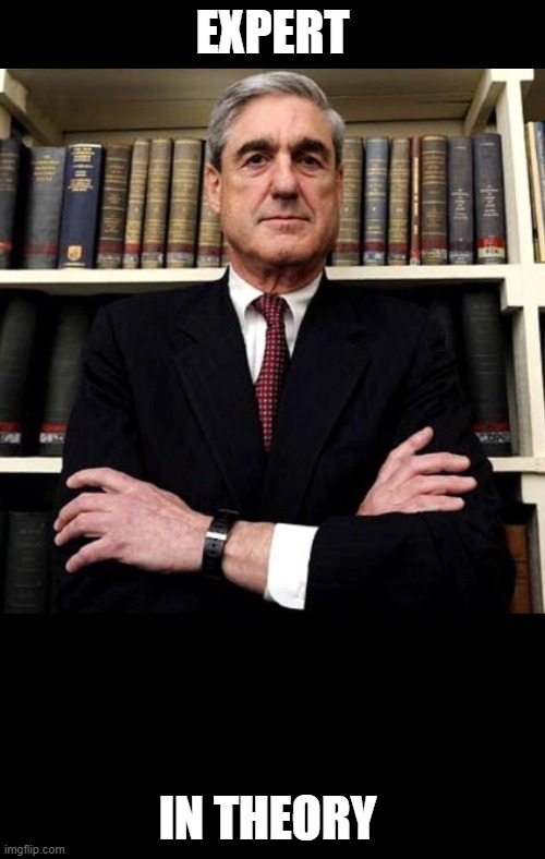 Expert in Theory | EXPERT; IN THEORY | image tagged in robert mueller,expert,theory | made w/ Imgflip meme maker