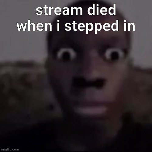 stare | stream died when i stepped in | image tagged in stare | made w/ Imgflip meme maker