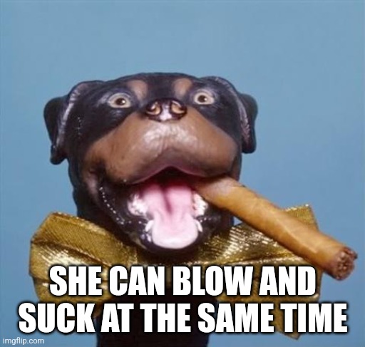 Triumph the Insult Comic Dog | SHE CAN BLOW AND SUCK AT THE SAME TIME | image tagged in triumph the insult comic dog | made w/ Imgflip meme maker