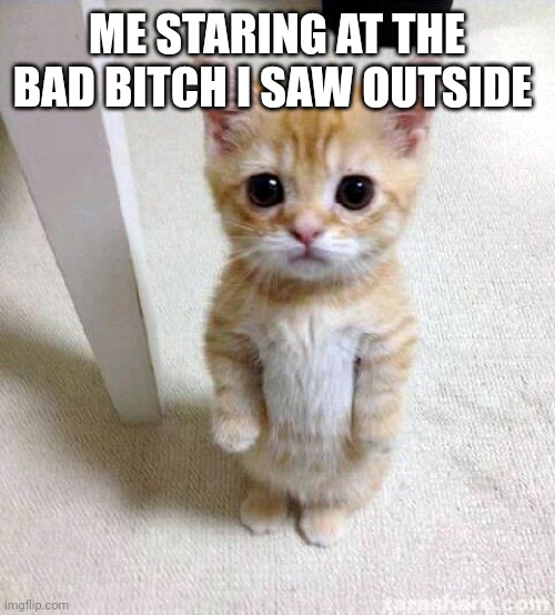 Cute Cat | ME STARING AT THE BAD BITCH I SAW OUTSIDE | image tagged in memes,cute cat | made w/ Imgflip meme maker