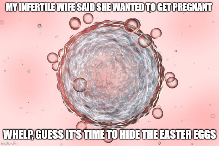 No Invitro | MY INFERTILE WIFE SAID SHE WANTED TO GET PREGNANT; WHELP, GUESS IT'S TIME TO HIDE THE EASTER EGGS | image tagged in dark humor | made w/ Imgflip meme maker