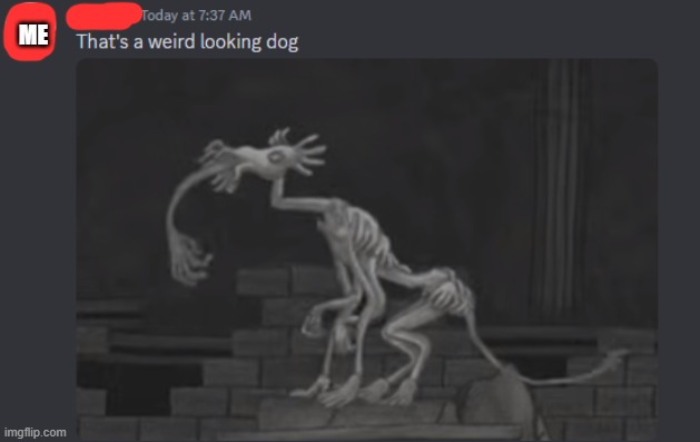 a weird looking dog indeed | ME | image tagged in dog,meme,multi medium | made w/ Imgflip meme maker