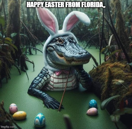 Happy Easter from Florida,, | HAPPY EASTER FROM FLORIDA,, | image tagged in easter,easter bunny,florida,aligator | made w/ Imgflip meme maker