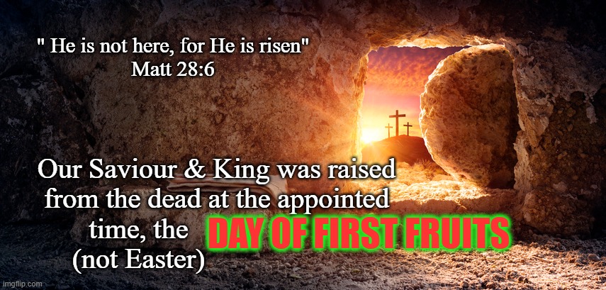 He Is Risen! | " He is not here, for He is risen"
Matt 28:6; Our Saviour & King was raised
from the dead at the appointed
 time, the                       
   (not Easter); DAY OF FIRST FRUITS | image tagged in day of first fruits,easter,christianity,jesus,god,passover | made w/ Imgflip meme maker