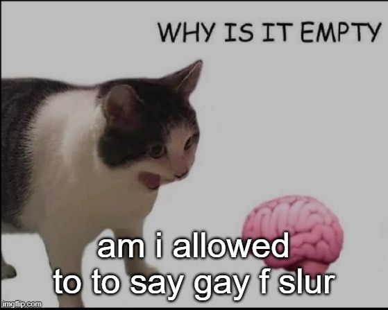 hrelp me | am i allowed to to say gay f slur | image tagged in hrelp me | made w/ Imgflip meme maker