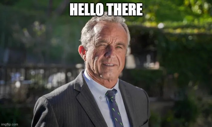 Hello there | HELLO THERE | image tagged in robert f kennedy jr | made w/ Imgflip meme maker