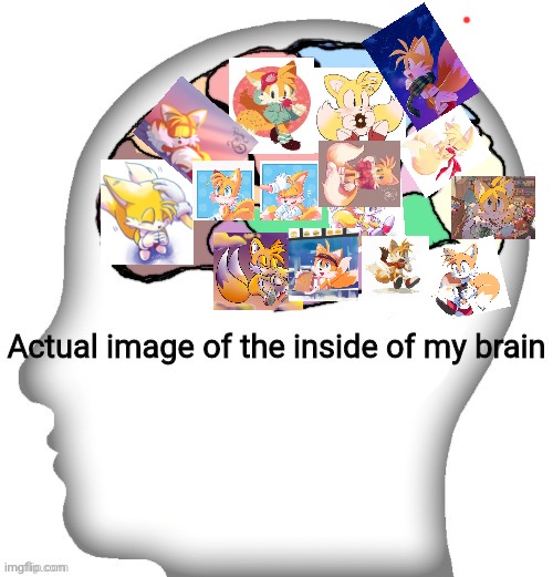 Why think of good grades, productivity and that shit when you have fanart of your favourite character? | image tagged in actual image of the inside of my brain | made w/ Imgflip meme maker
